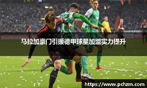 马拉加豪门引援德甲球星加盟实力提升
