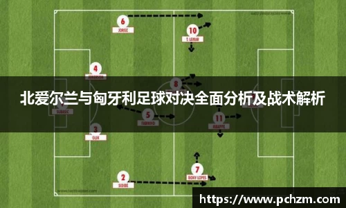 北爱尔兰与匈牙利足球对决全面分析及战术解析
