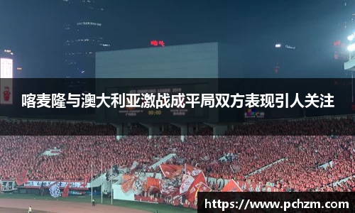 喀麦隆与澳大利亚激战成平局双方表现引人关注