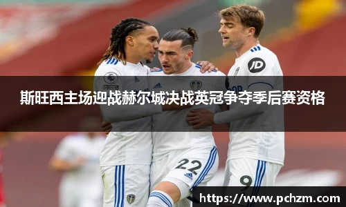 斯旺西主场迎战赫尔城决战英冠争夺季后赛资格