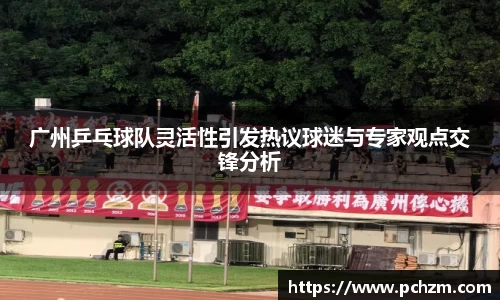 广州乒乓球队灵活性引发热议球迷与专家观点交锋分析