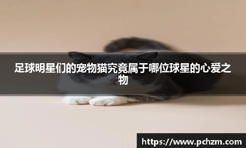 zoty中欧官网